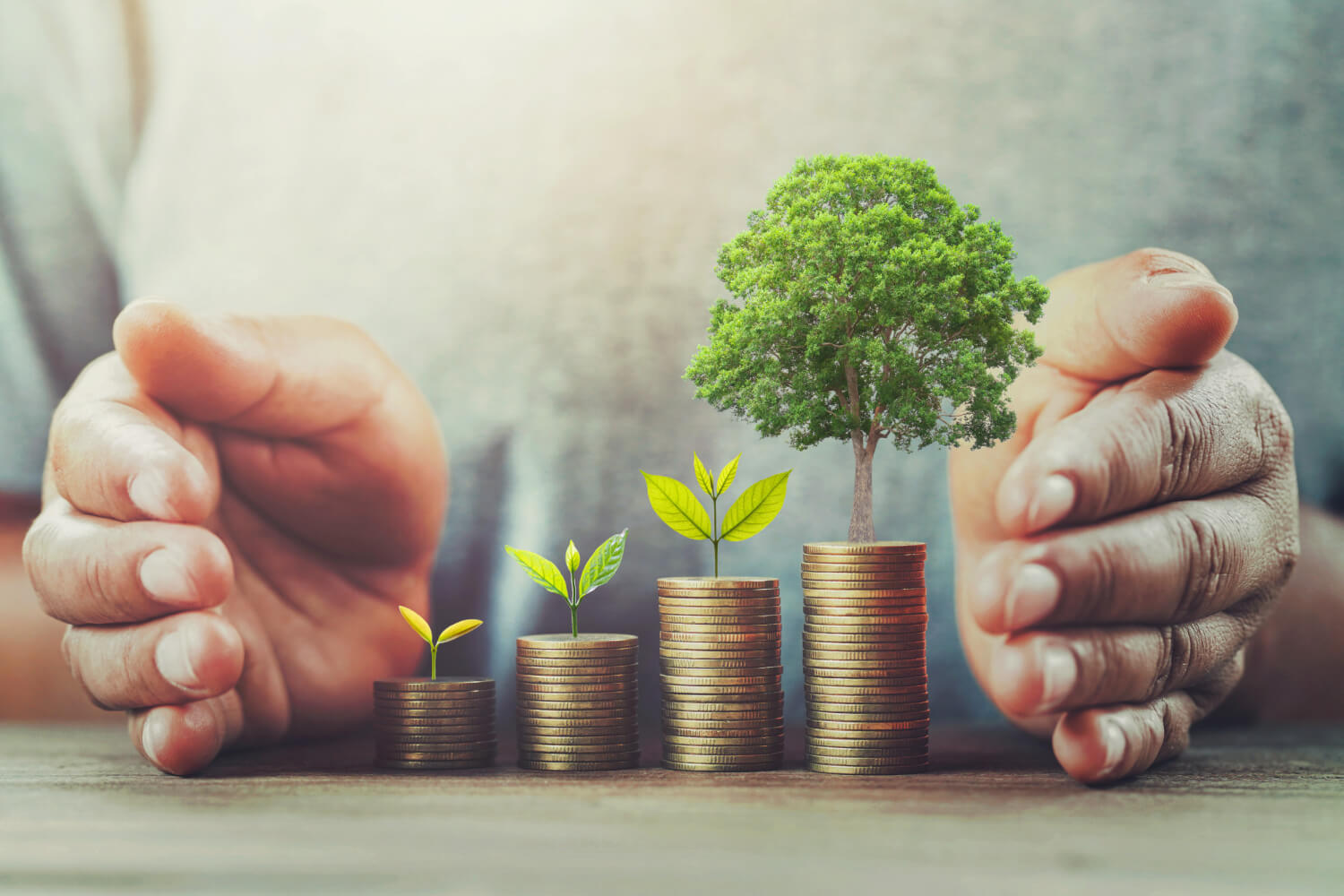 Entrepreneurial Success with Virtual Credit Card Services